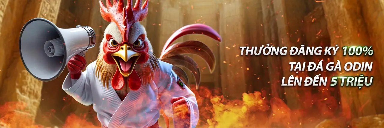 Hình ảnh minh họa cá cược có trách nhiệm tại bsport đăng ký